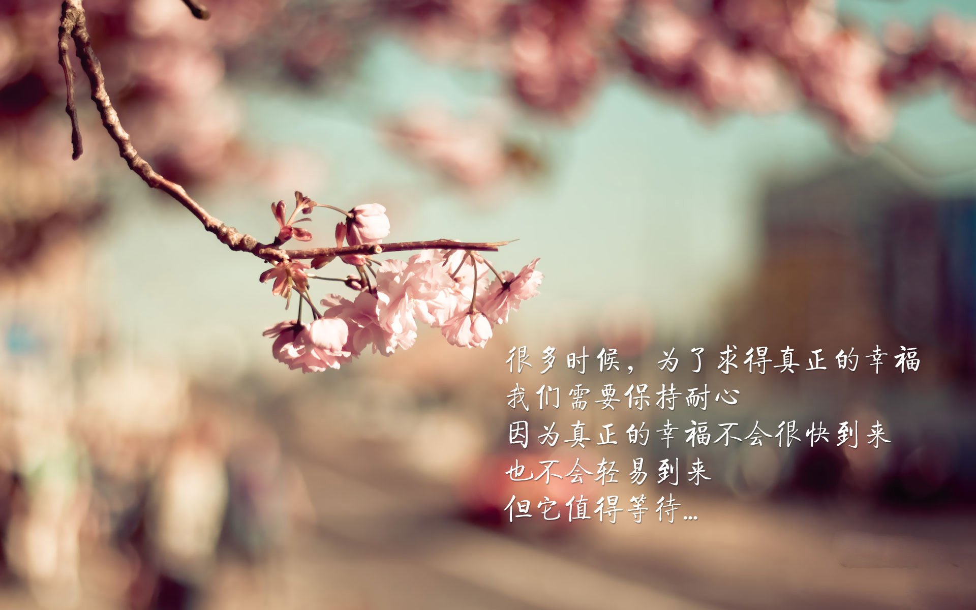 雄鹿大胜热火，关键一役中字母哥罚球绝杀，雄鹿字母哥争冠