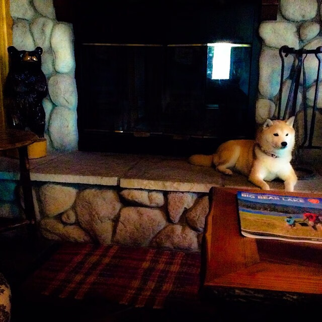 国足比赛红黄牌影响因素追踪,足球比赛红黄牌的作用