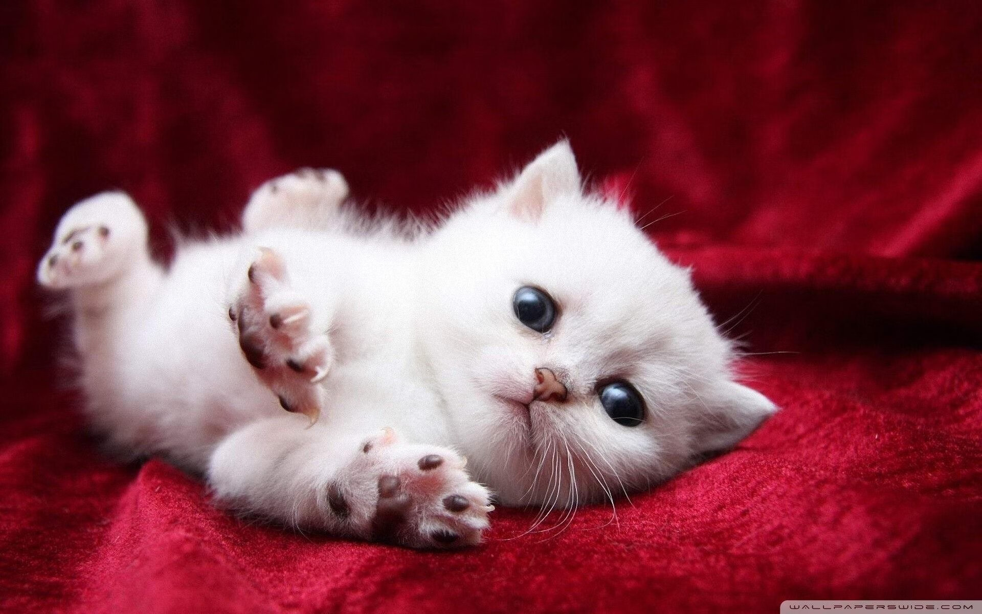 爱游戏app-新闻中心发布年度战略规划，战略部署会议新闻稿