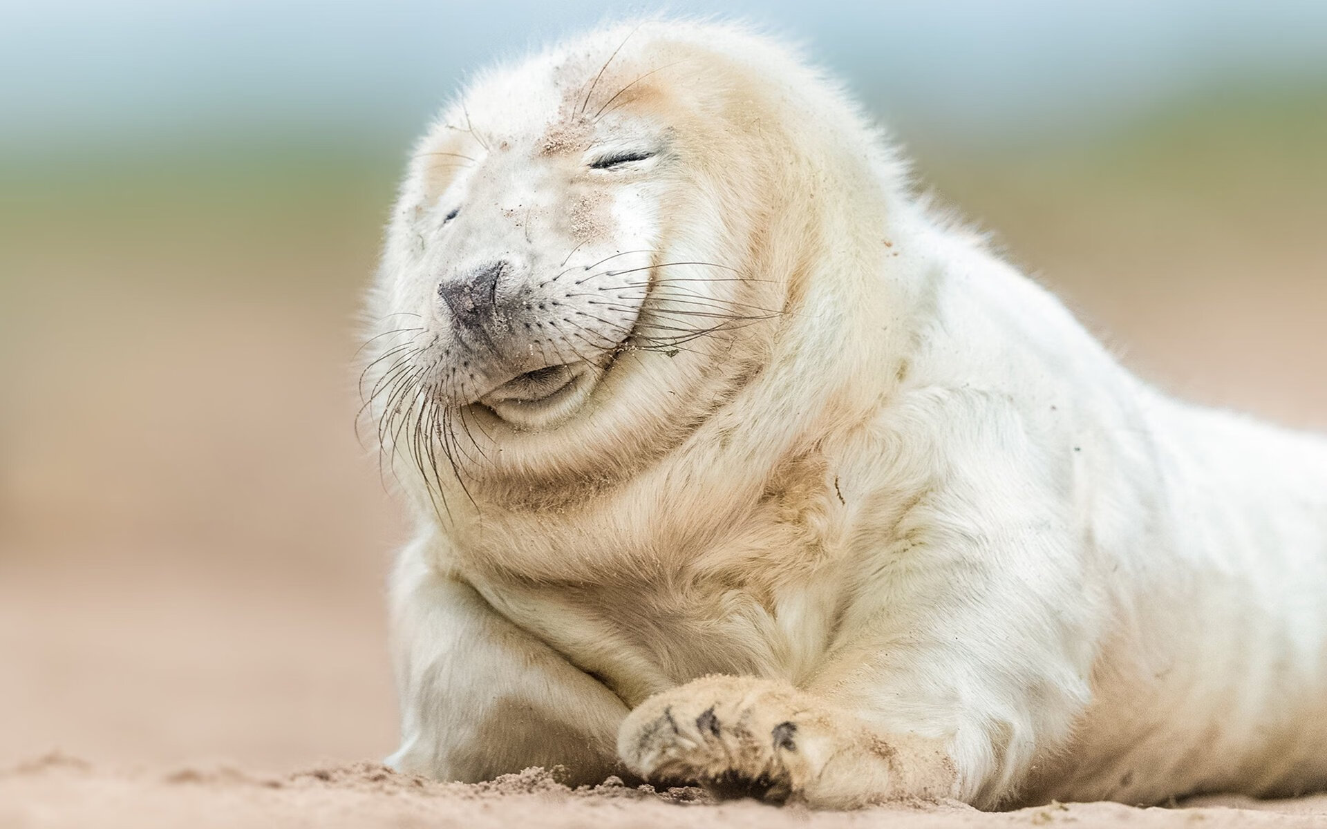 爱游戏娱乐-2024年国际乒乓赛事：埃及队奋力拼搏的背后故事，埃及乒乓球发展状况