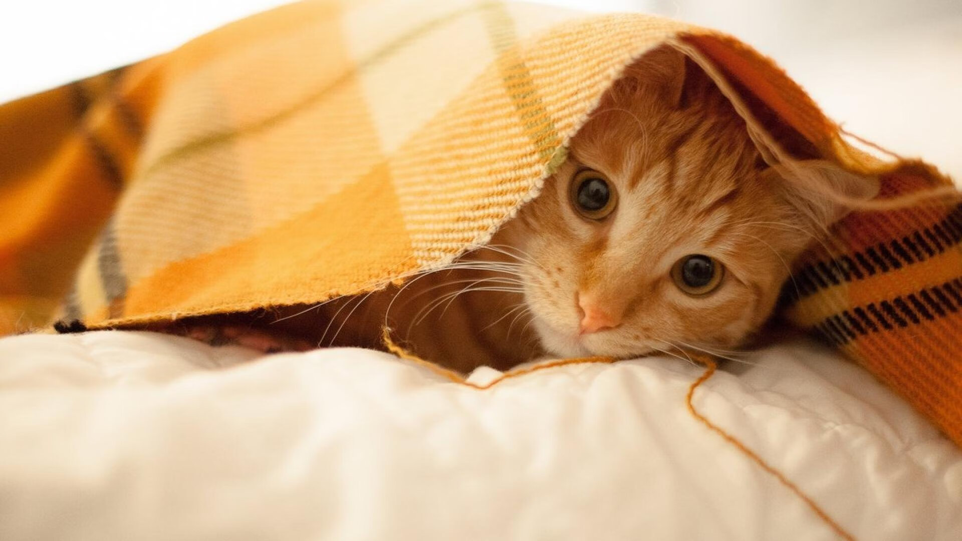 爱游戏app-中国三人篮球男队灵活变阵 应对多样战术挑战，中国男子三人篮球名单