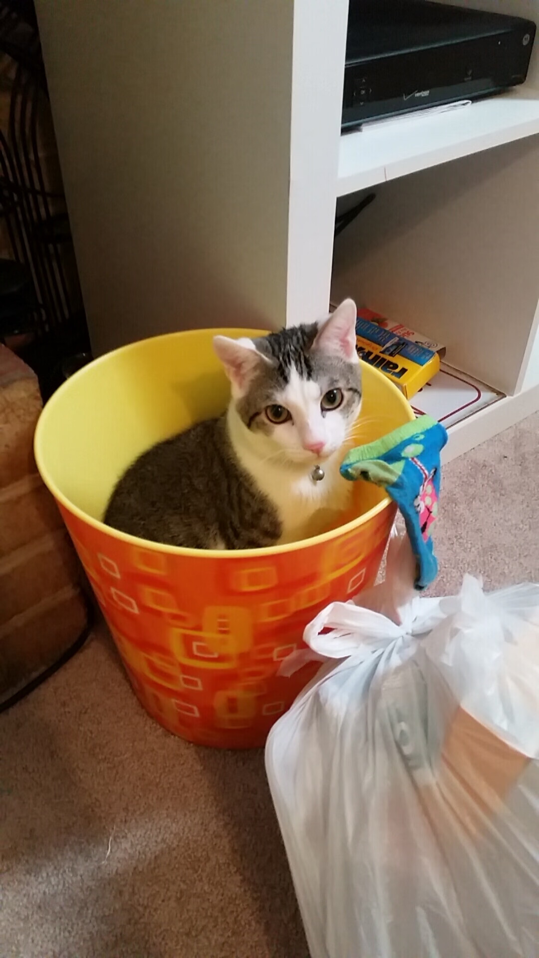 爱游戏娱乐-中国香港队的未来挑战：如何在国际乒乓赛事中逐渐崭露头角，乒乓球香港队