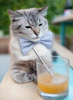 奥预赛U23国足晋级 球员技术能力有所提升，u23国足提前出线