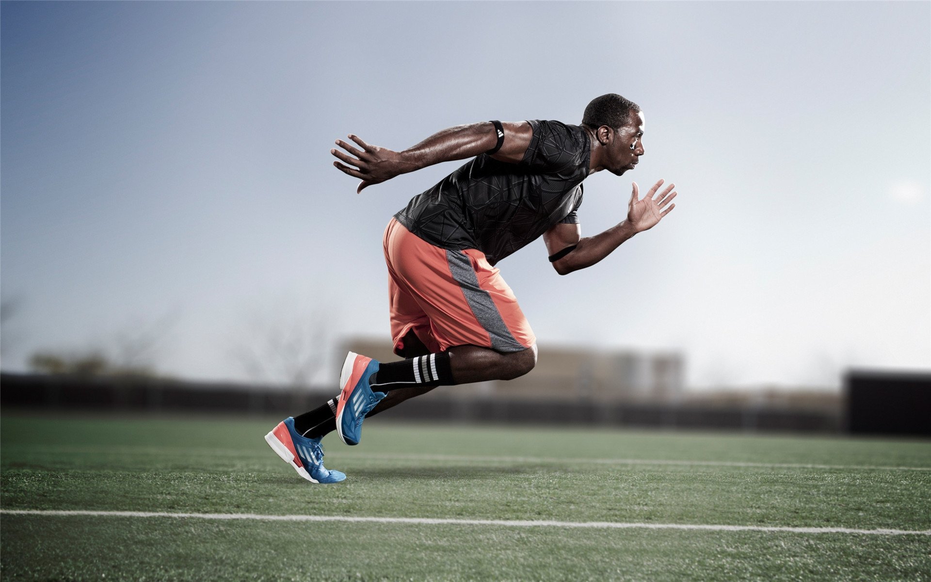 “美洲狮队的突破表现：走向橄榄球的世界顶级行列”