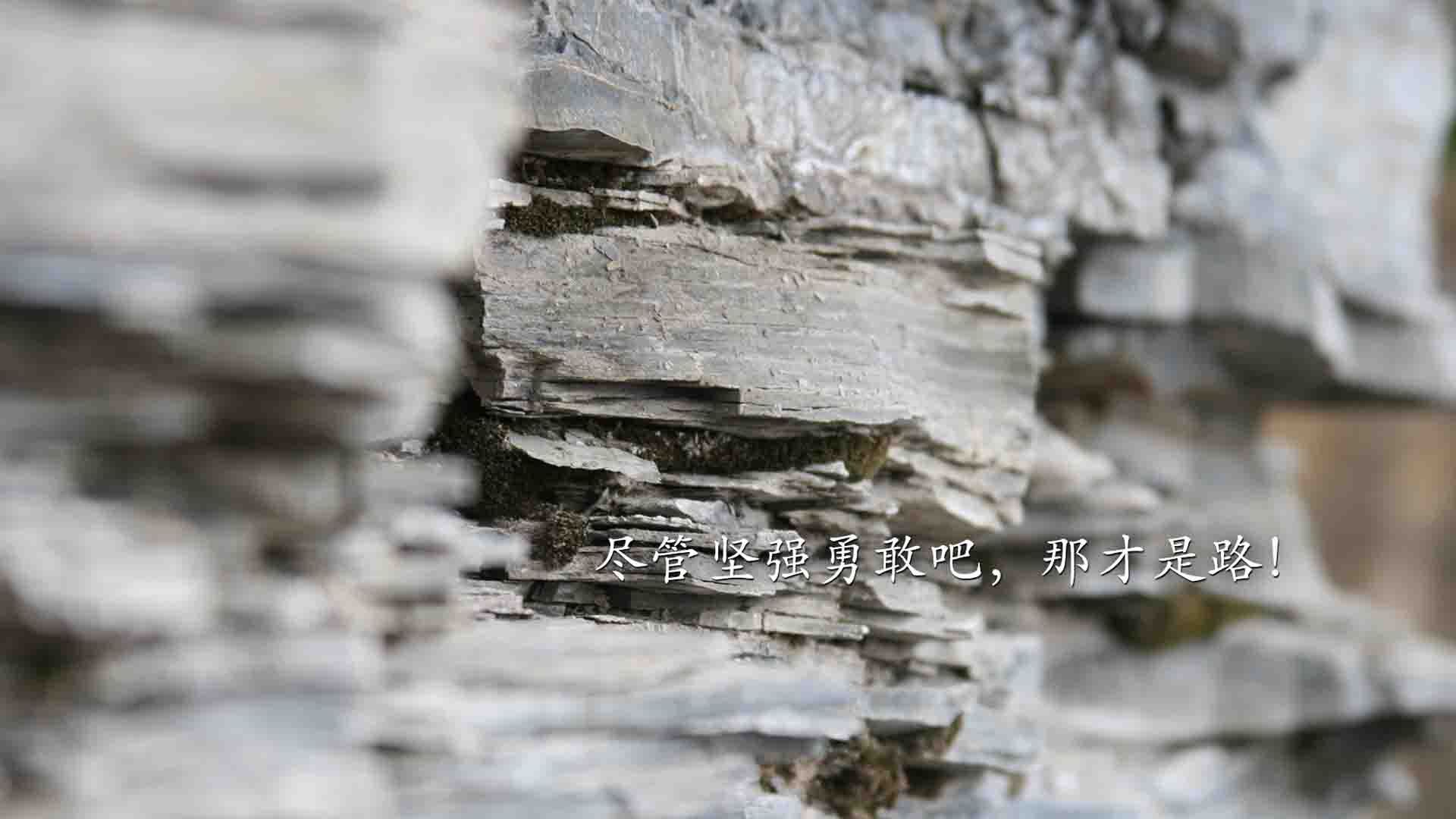 爱游戏中国官方网站平台-唐纳德·高尔的攻防转换高效，带领袋鼠队重夺比赛主导权，唐纳德古尔德