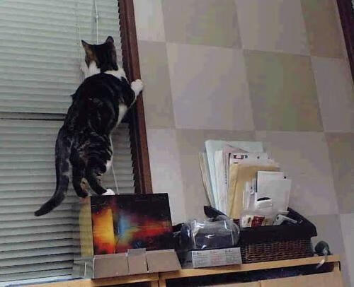 爱游戏app下载-媒体聚焦关键先生连续多场决定比赛走向展现核心价值，nba关键先生英文